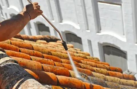 Nettoyage de toitures - Saint-Victor-de-Morestel